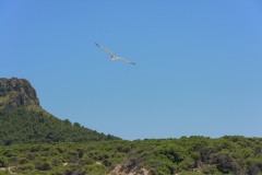 2021_06_27_MALLORCA_VANESSA_CALA_MESQUIDA_4082