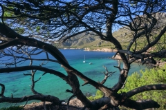 2021_07_09_07_09_21_MALLORCA_LANDSCAPE_CALA_NA_CLARA_BETLEM_0268